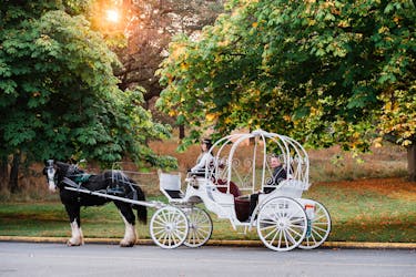 Beacon Hill park carriage tour in Victoria